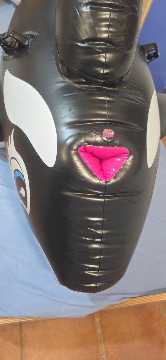 Aufblasbarer Intex Orca Whale Top Looneer Pop mit 4 SPH aufblasbarem Dreieck