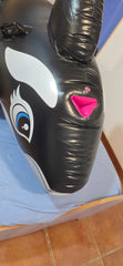 Inflatable Intex Orca Whale with 4 SPH