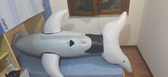 Inflatable Intex Orca Whale with 4 SPH
