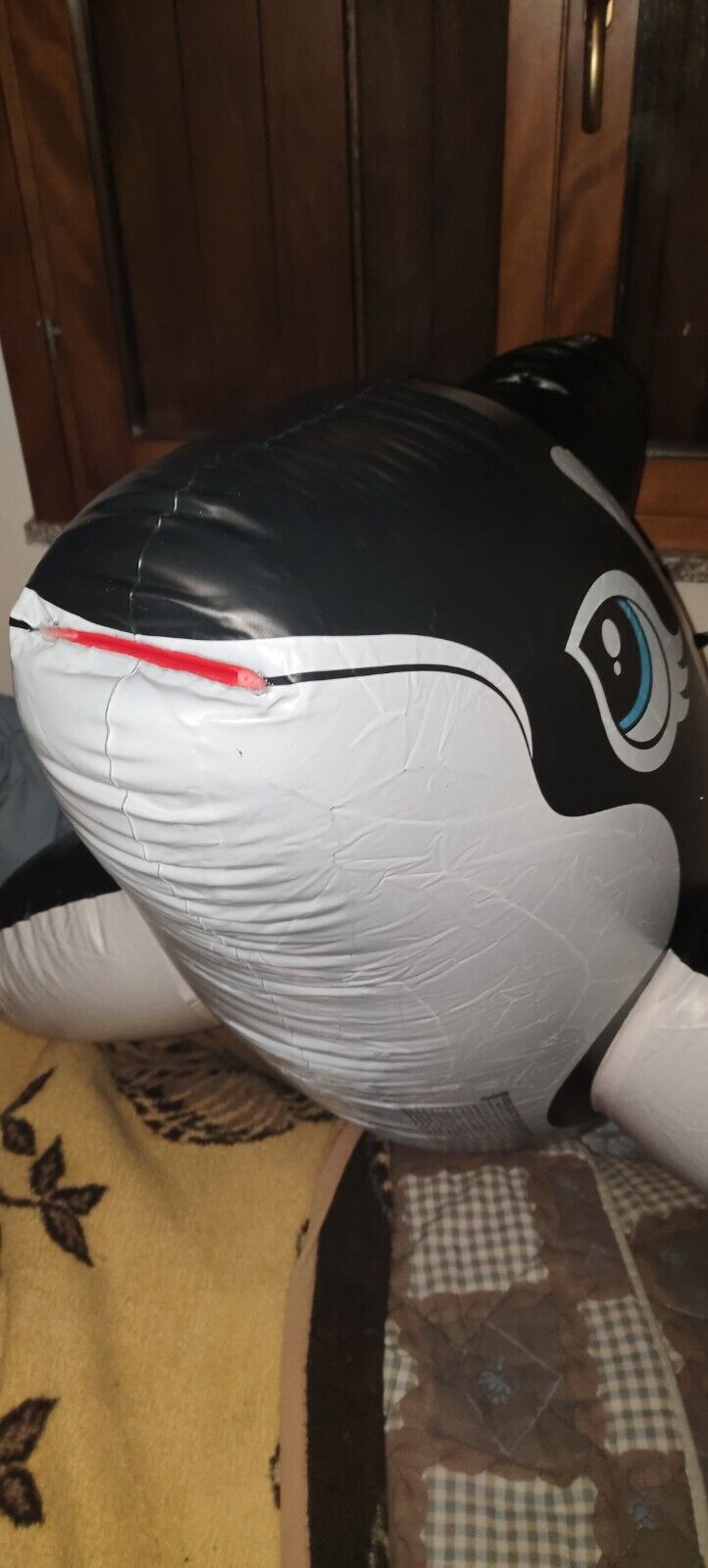 Inflatable Intex Orca Whale  top looner pop with 4 SPH inflatable triangular